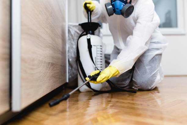 Best Flea Control Services  in Mount Carmel, PA