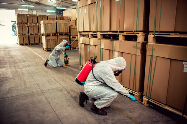 Best Wasp Removal Services  in Mount Carmel, PA