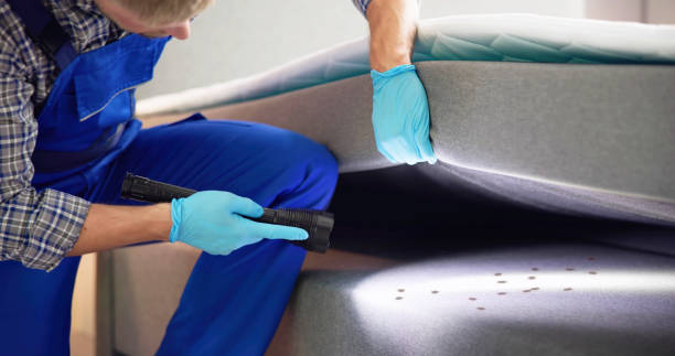 Best Best Pest Control Near Me  in Mount Carmel, PA